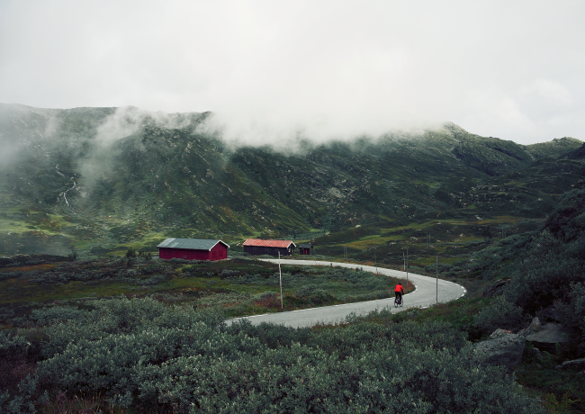 Красивая картинка